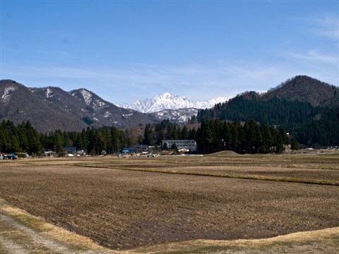 西種から田圃と剱岳