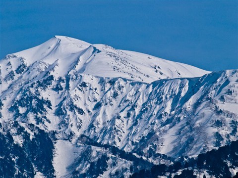 上市から見る大日岳