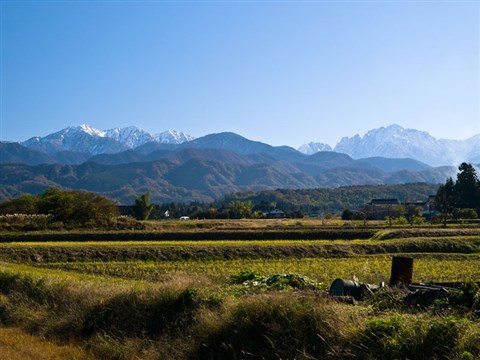 秋の風景